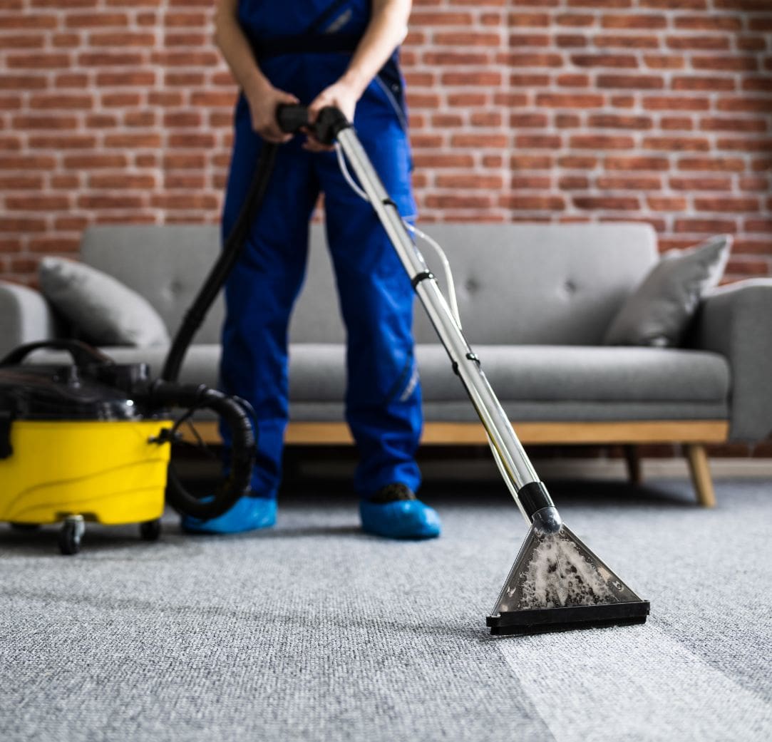 <a href="/carpet-cleaning/">Carpet Cleaning</a>