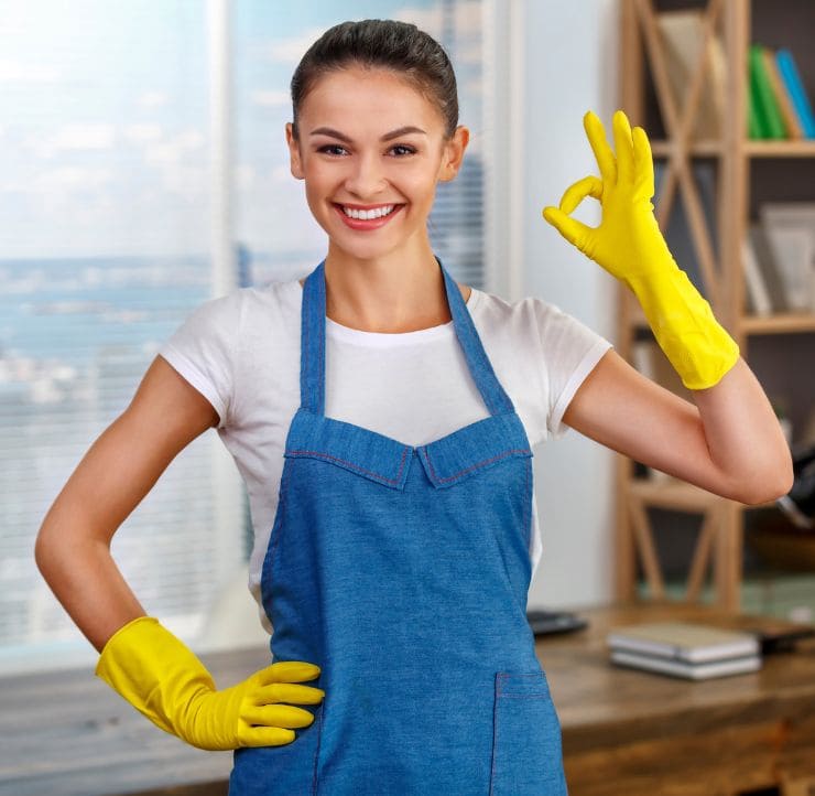 <a href="/house-cleaning/">Domestic Cleaning</a>